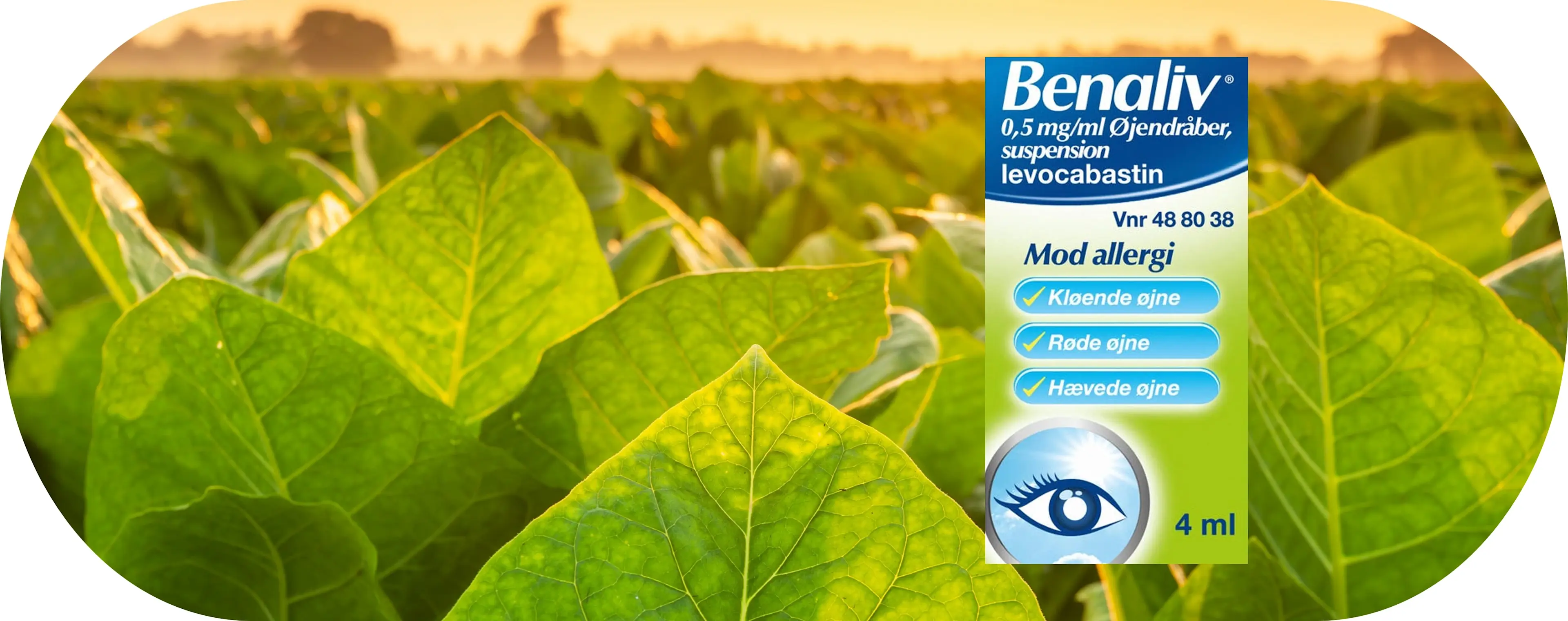Benaliv Eye package