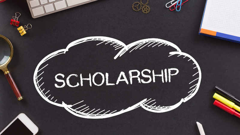 undergraduate scholarships