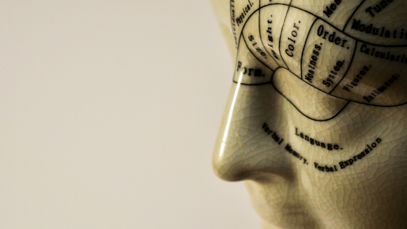 labelled-head-model-psychology