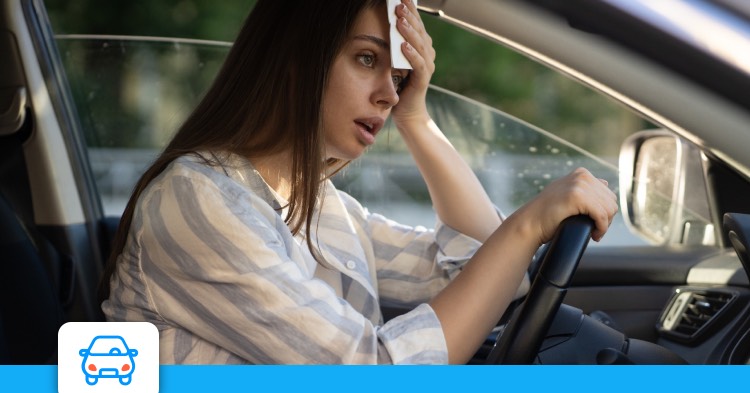 Pratique. Canicule : une housse pour protéger votre voiture, utile