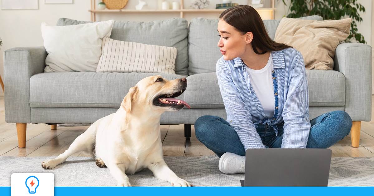 Comprendre votre contrat de gaz en 2024 lesfurets