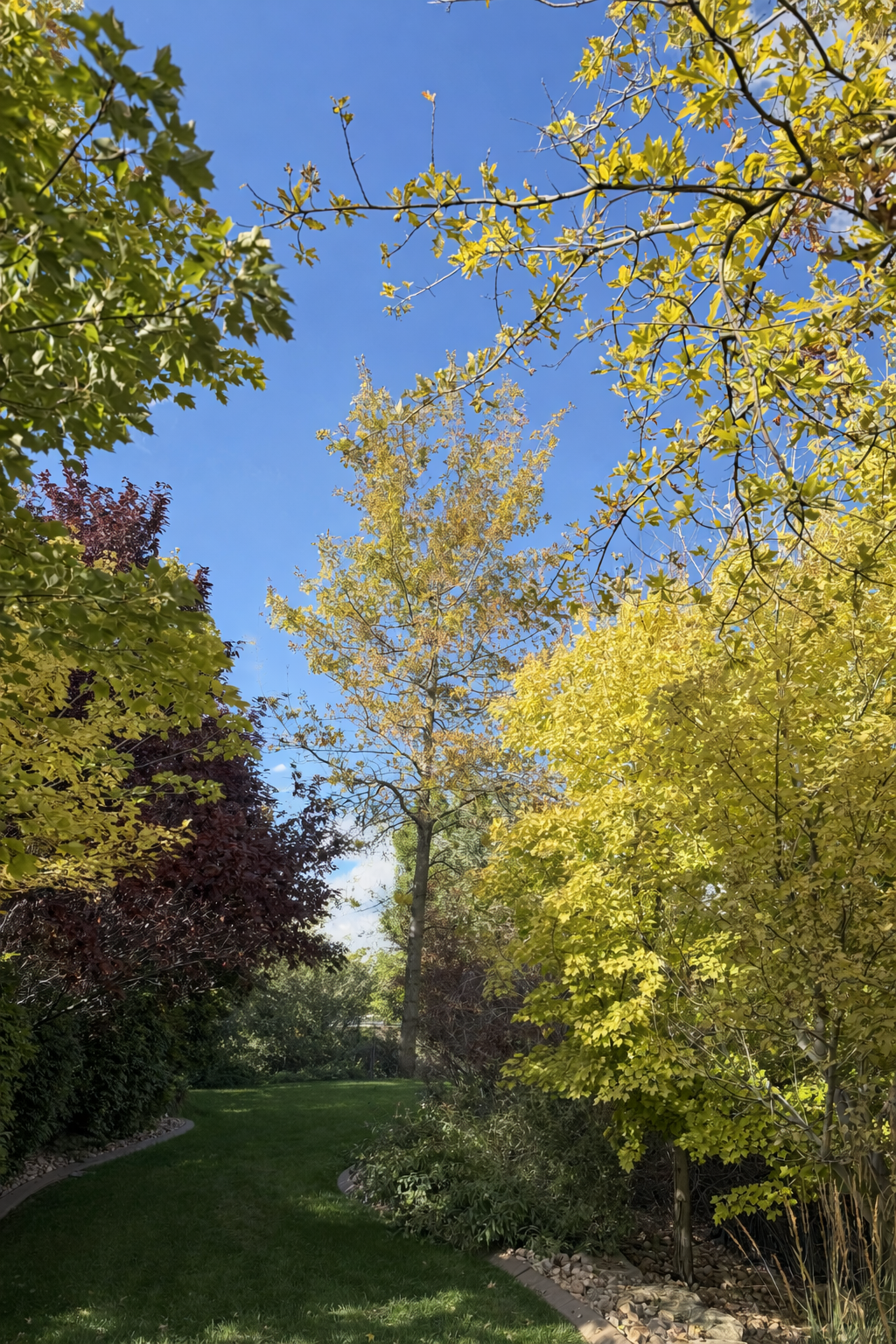 Common Tree Pests in Utah and How to Fight Them