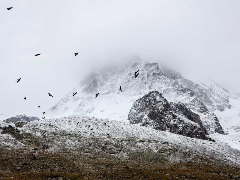 About page main placeholder image