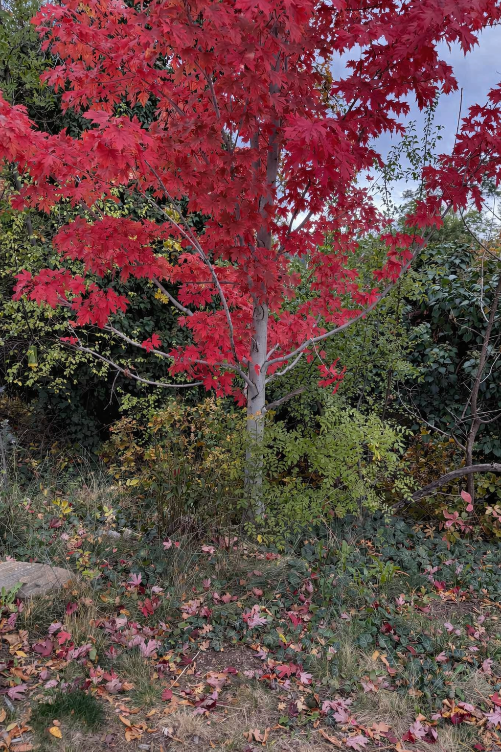 ### How Our Process Works