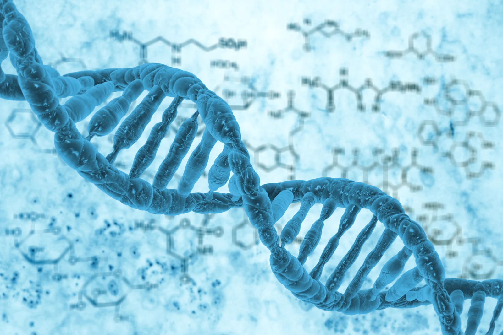 A Strand of DNA