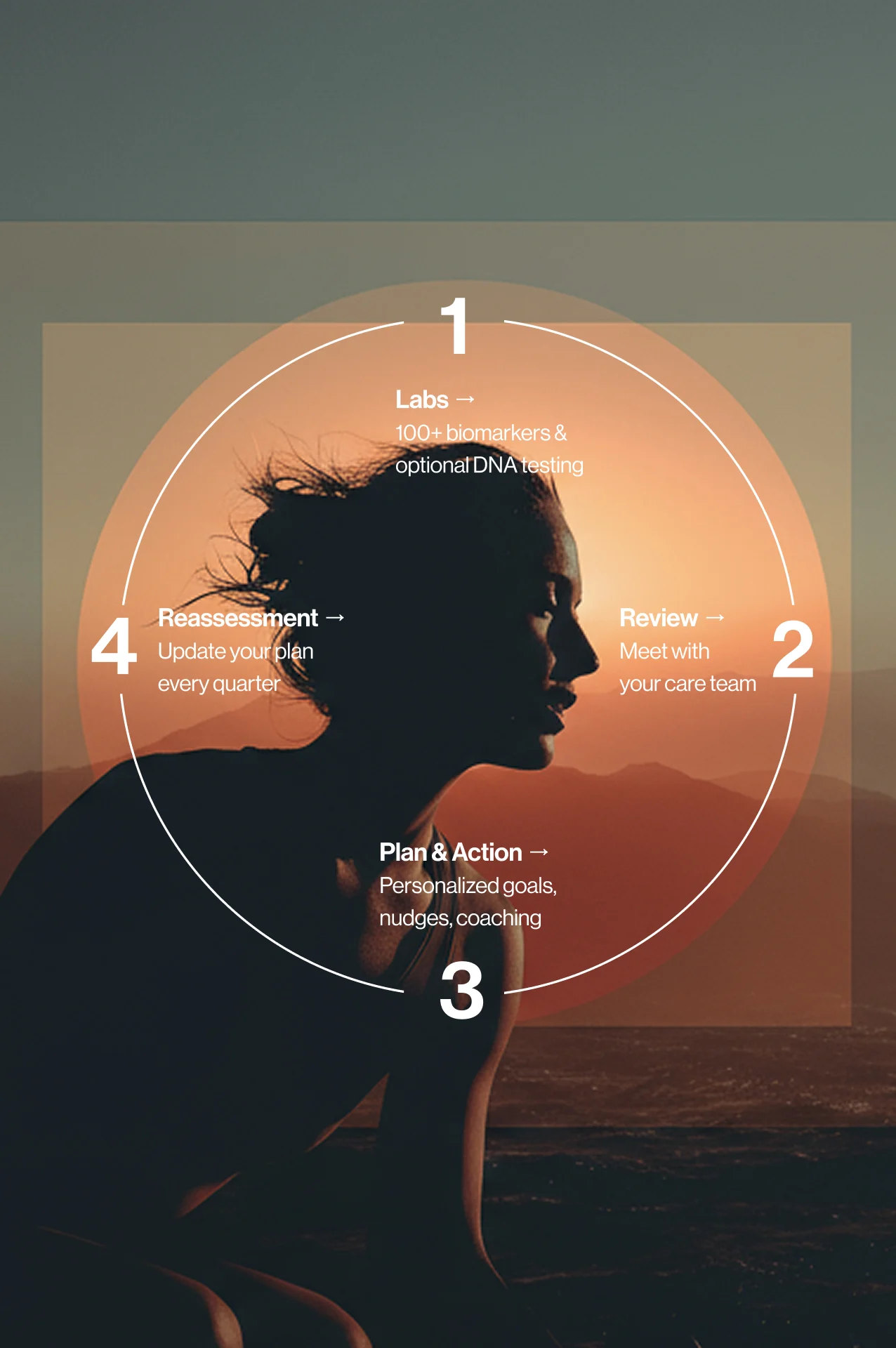 Illustration showing 4 parts of the Compass model