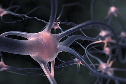 A render of firing neurons