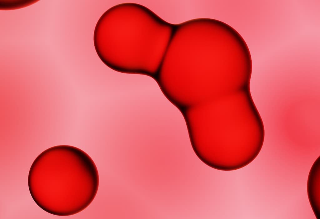 Cell Therapy Trials