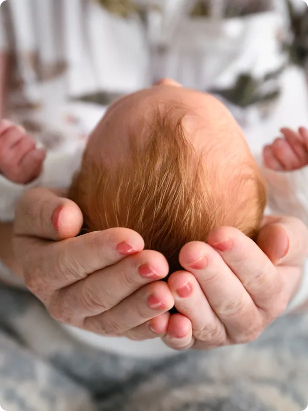 Hands holding baby