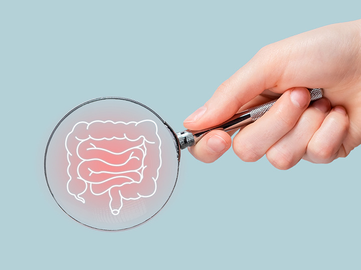 Colon with Magnifying Glass