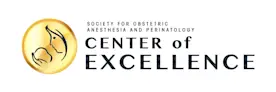 SOAP Center of Excellence (COE) designation badge