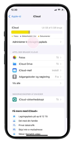 Backup iPhone - Step 3 - Image
