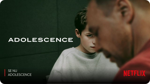 Kundefordele Netflix 2