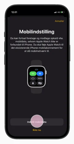 eSIM Apple Watch - Step 4 - Image