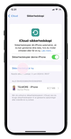 Backup iPhone - Step 6 - Image