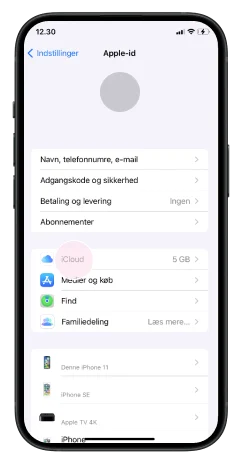Backup iPhone - Step 2 - Image