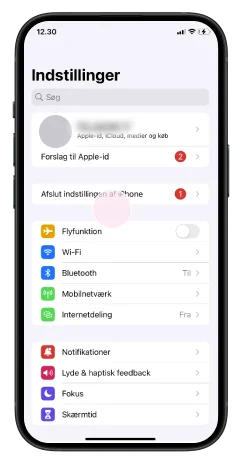 Backup iPhone - Step 1 - Image