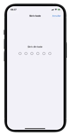 Nulstil iPhone - Step 4 - Image