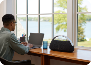 Harman Kardon Go + Play 3 USP 2