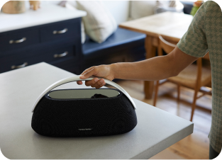 Harman Kardon Go + Play 3 USP 1