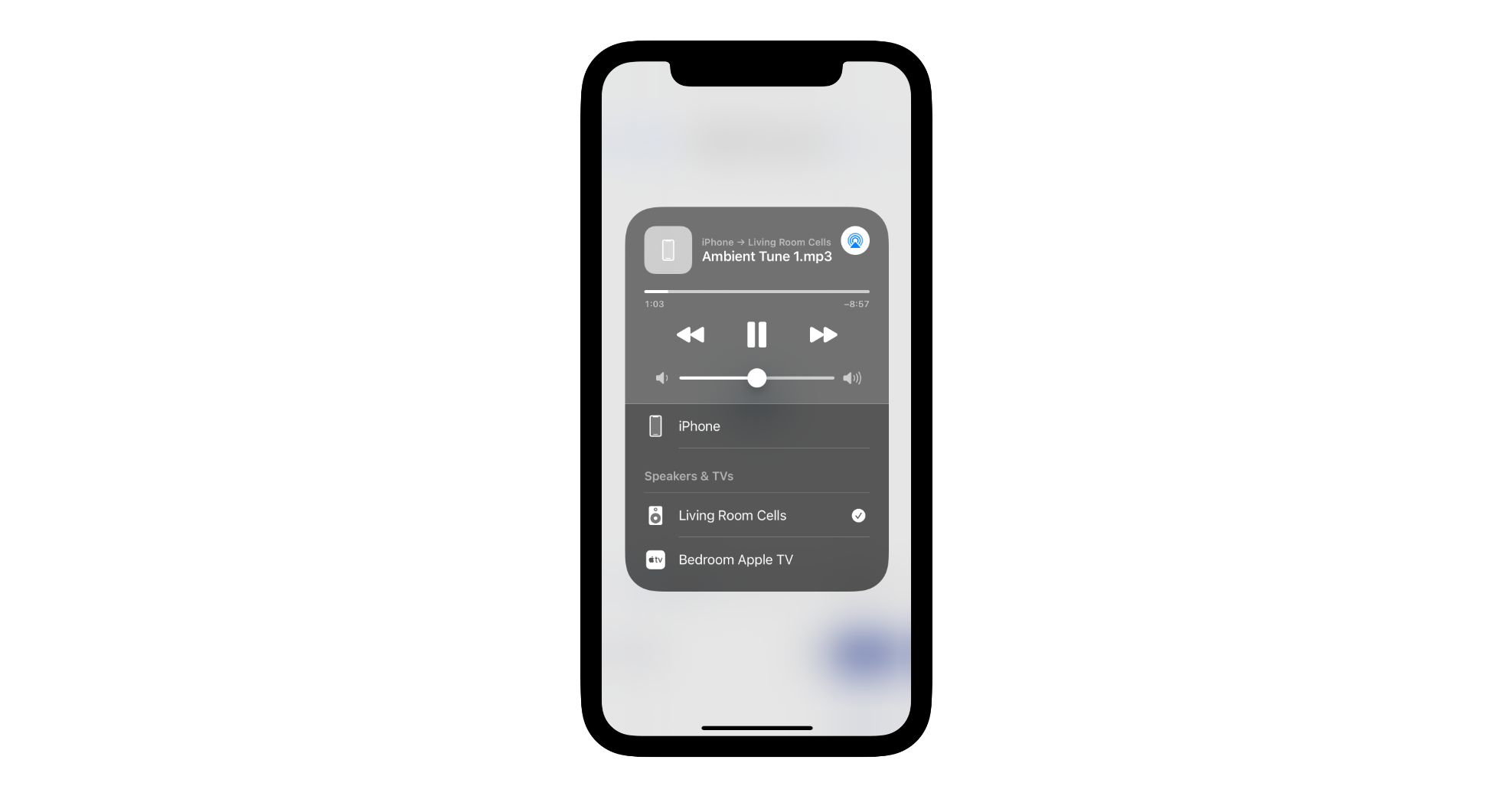 iOS AirPlay selector