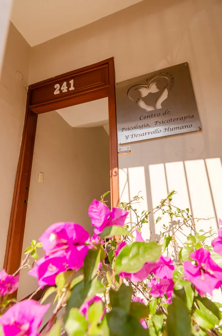 Imagen 1 de la galería