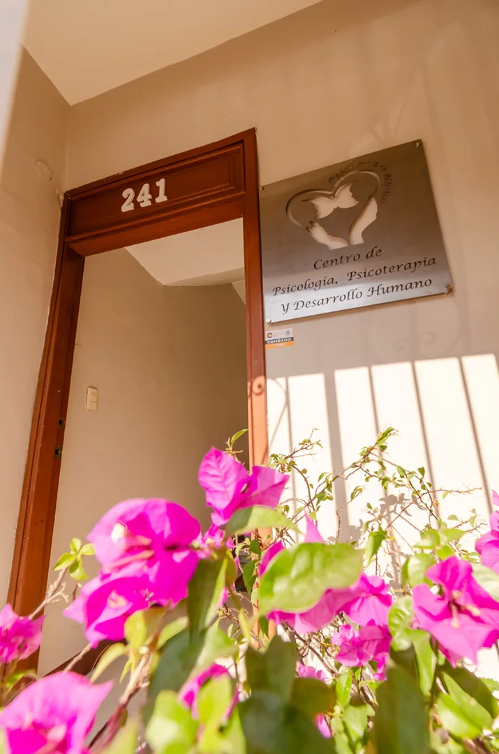 Galería Principal