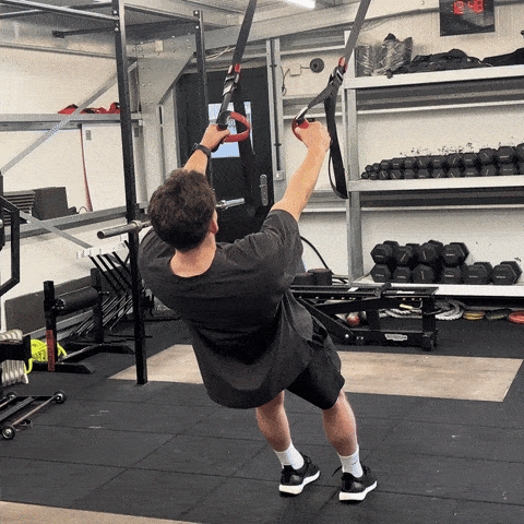 Master The Barbell Back Squat: Form, Stance and Variations