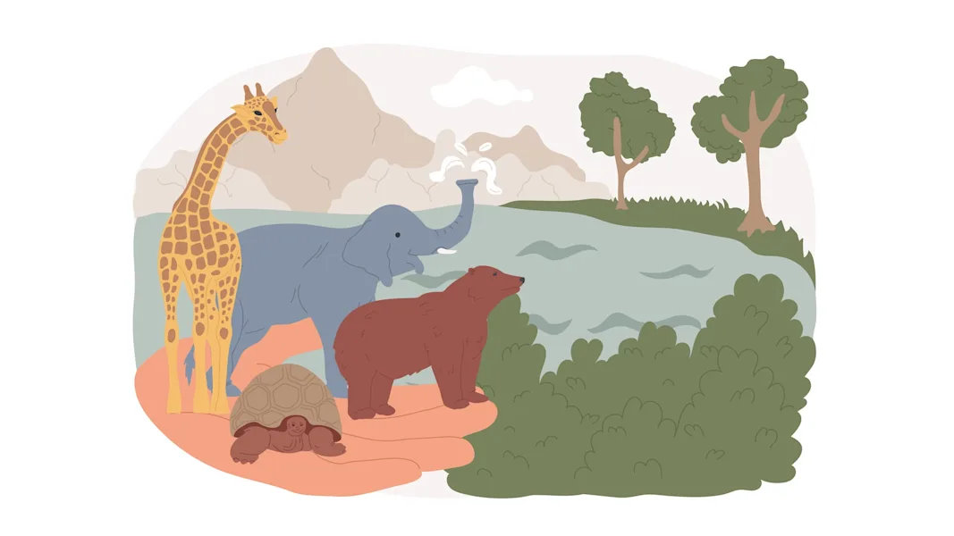 The Animal Kingdom - Classical KUSC