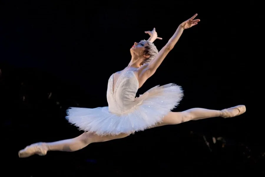 A Swan's Eye View of Odette and Odile - Classical California