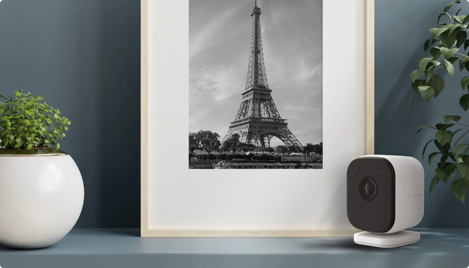 A TELUS Indoor Camera placed beside a small plant and framed image of the Eiffel Tower