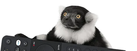 Wide-eyed black and white lemur holds a remote to unlock the ultimate entertainment experience on Optik TV.