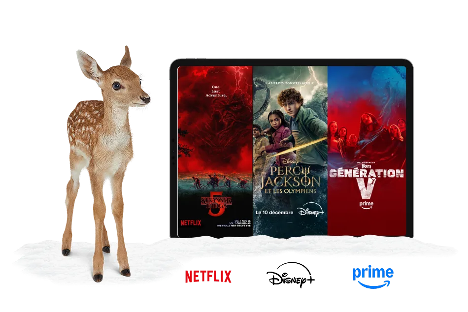 Un cerf debout à côté d’une tablette. Un ours polaire debout à côté d’une tablette. La tablette affiche des affiches de Stranger Things, Percy Jackson, et Gen V. Les logos de Netflix, Disney+ et Amazon Prime se trouvent en dessous de la tablette.