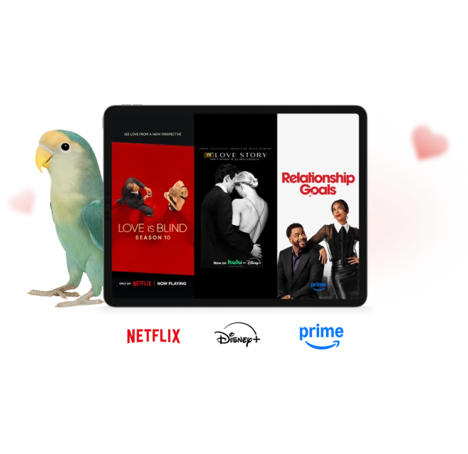 Une image montre un perroquet vert et une tablette affichant les affiches des films « Love is Blind », « Love Story » et « Relationship Goals ». De discrets cœurs se dessinent également en arrière-plan.