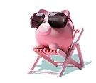 pig with sunglasses