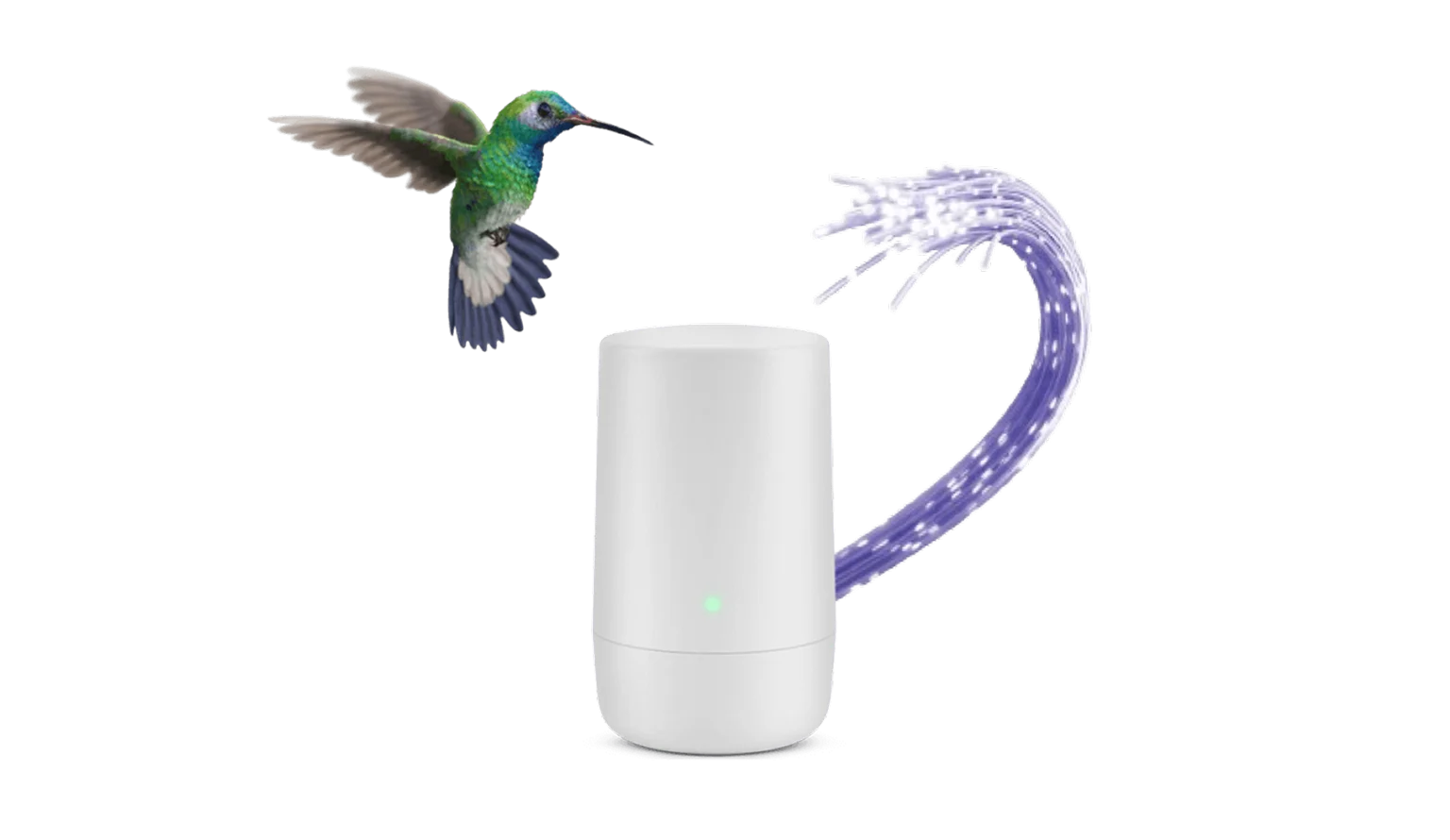 A hummingbird hovering over a TELUS modem.