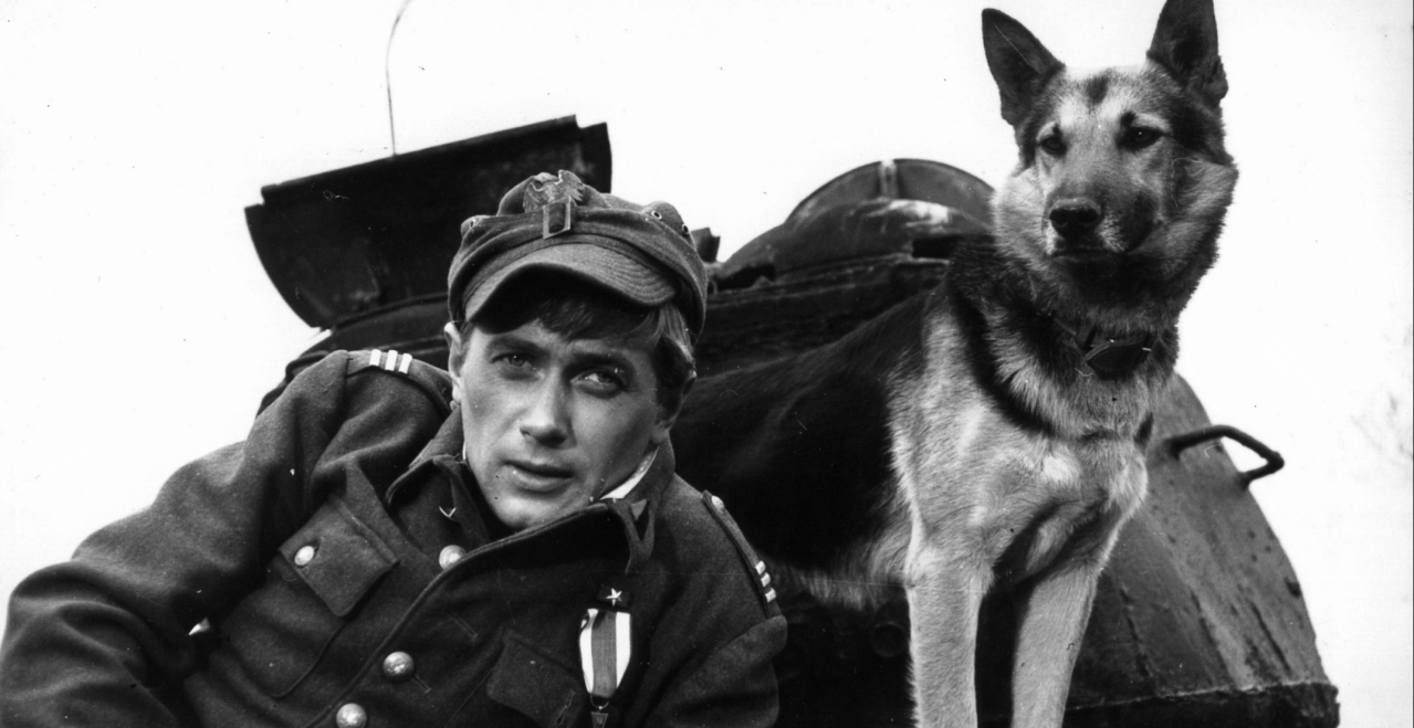 Януш Гайос в сериале «Четыре танкиста и собака», 1966. Фото: Ромуальд Кропат / Forum