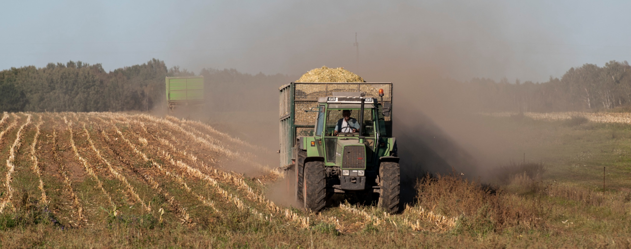 Уборка кукурузы в Подляском воеводстве. Источник: Agencja WschodArchiwum / Forum