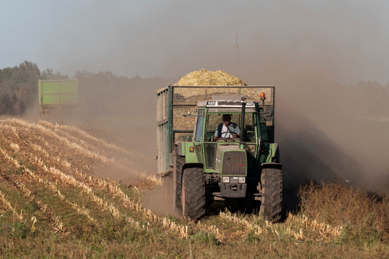 Уборка кукурузы в Подляском воеводстве. Источник: Agencja WschodArchiwum / Forum