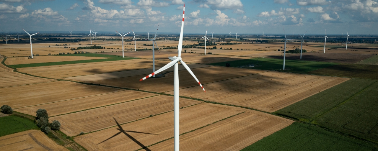 Ветряная электростанция недалеко от Новы-Става. Источник: Forum