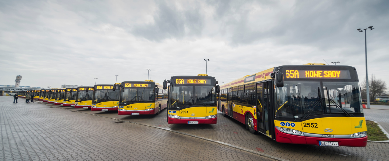 Польские электробусы Solaris. Фото: Михал Казмерчак / Forum