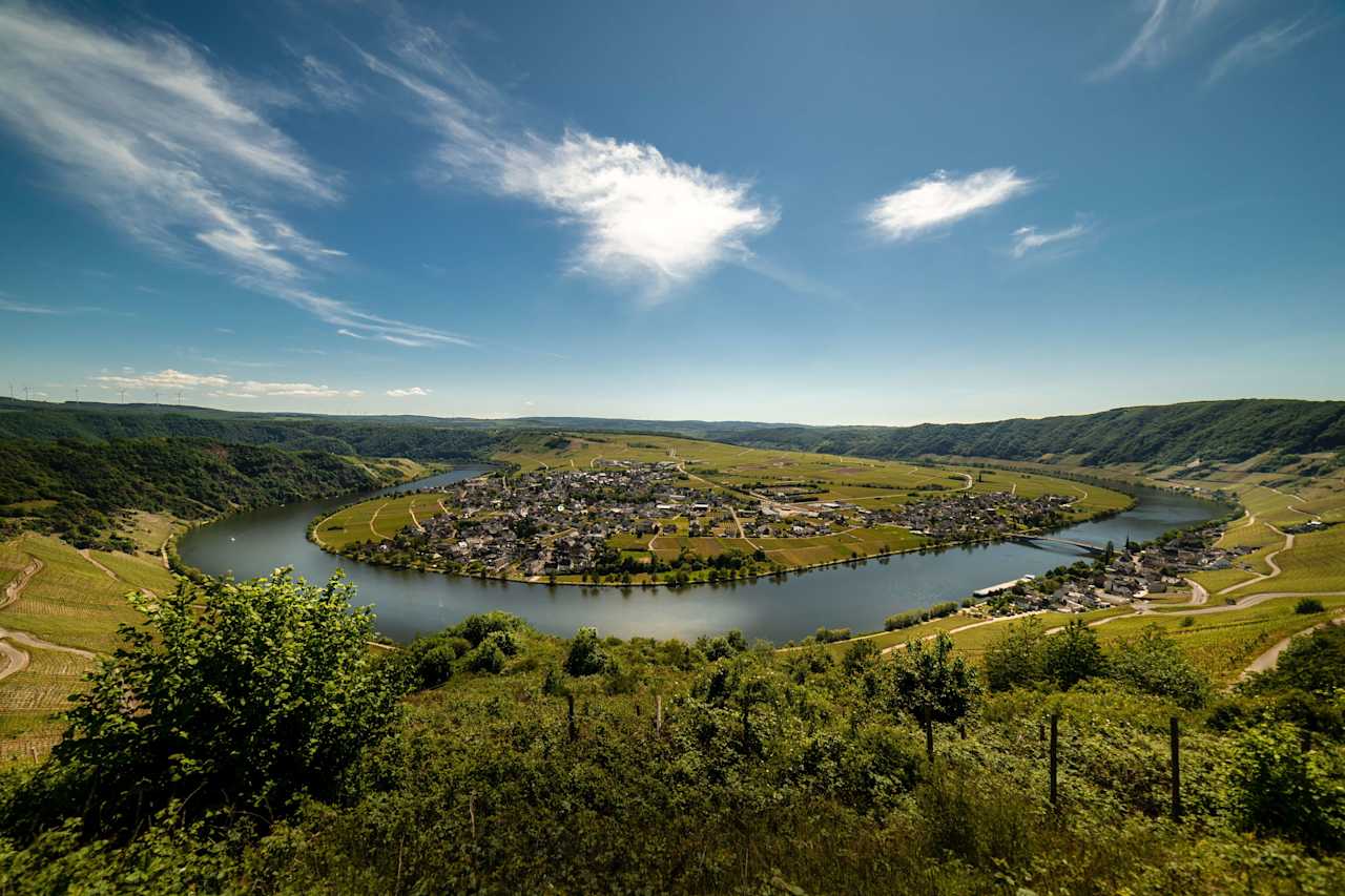 Regionen Mosel i Tyskland är en klassisk region för druvan och här kommer många fantastiska viner med varierande nivå av sötma. Regionen Mosel i Tyskland är en klassisk region för druvan och här kommer många fantastiska viner med varierande nivå av sötma.