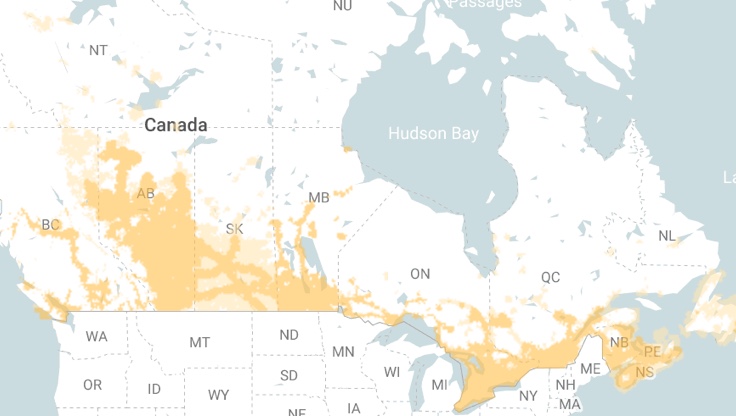 5G: Everything You Need To Know  Rogers