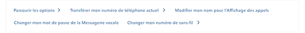 Parcourir les options >  Transférer mon numéro de téléphone actuel >  Modifier mon nom pour l’Affichage des appels >  Changer mon mot de passe de la Messagerie vocale >  Changer mon numéro de sans-fil >