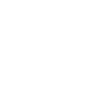 Globe Group carousel logo white