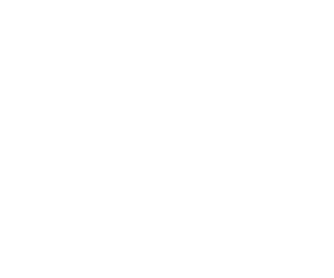 Bank BRI carousel logo