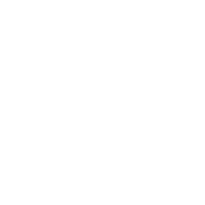 Wix carousel logo white