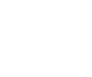Instacart carousel logo white