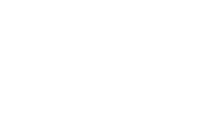 Citi logo (white)