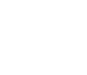 Notion carousel logo white